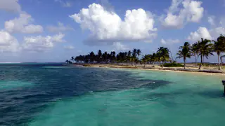 Half Moon Caye, Lighthouse Atoll, Belize. January 2017.