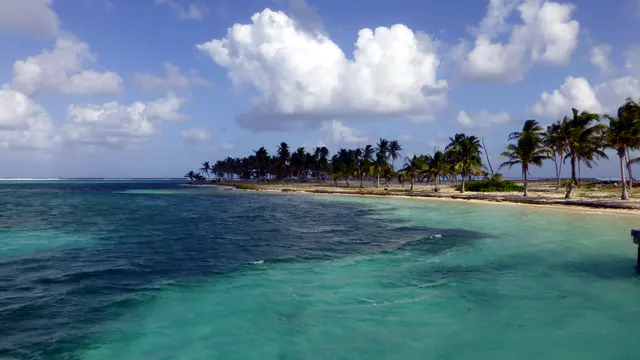 Half Moon Caye, Lighthouse Atoll, Belize. January 2017.