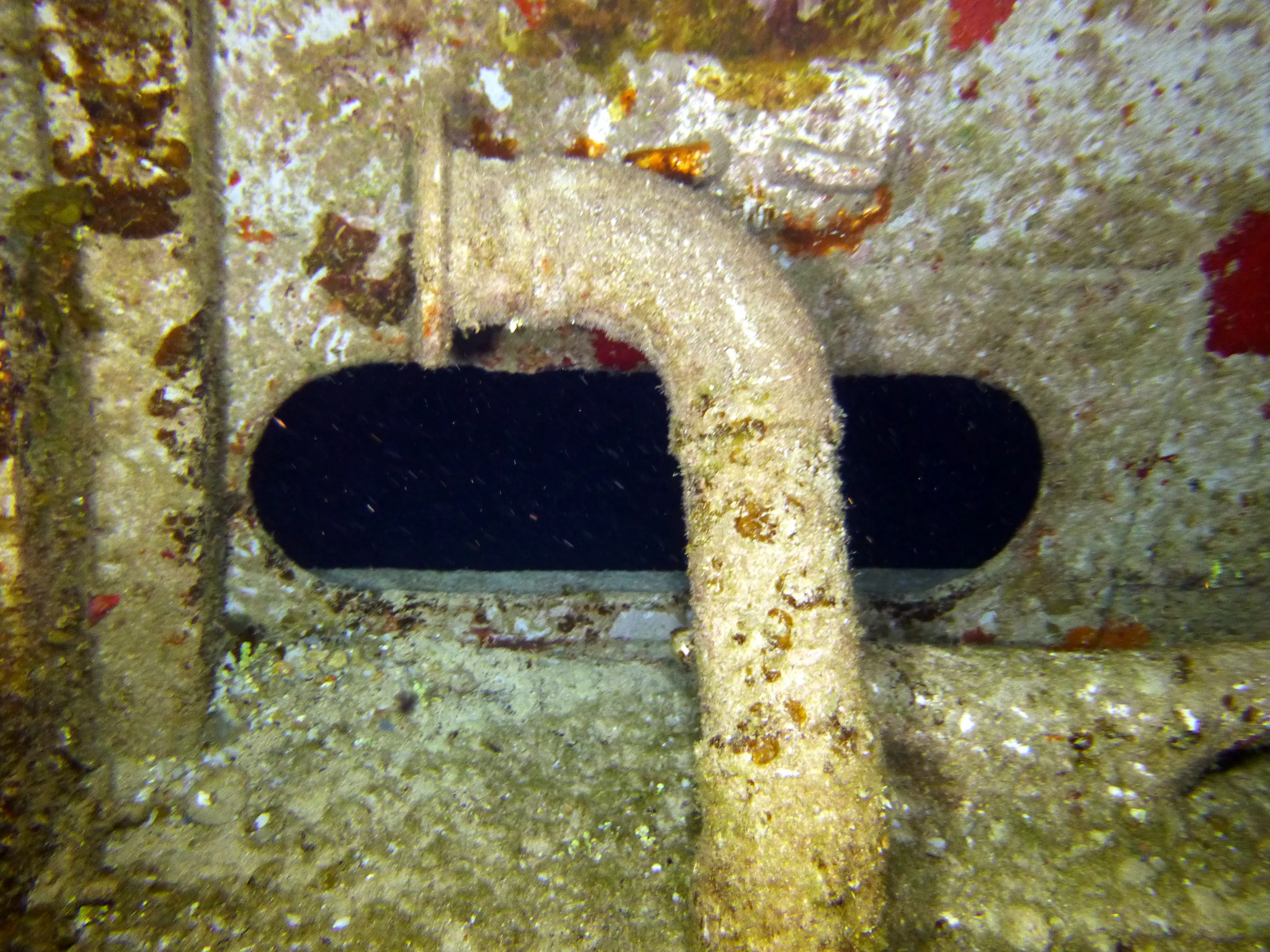 Cayman Islands underwater photograph, 2014