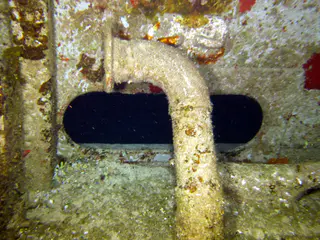 Underwater photograph by Joel Bergsma