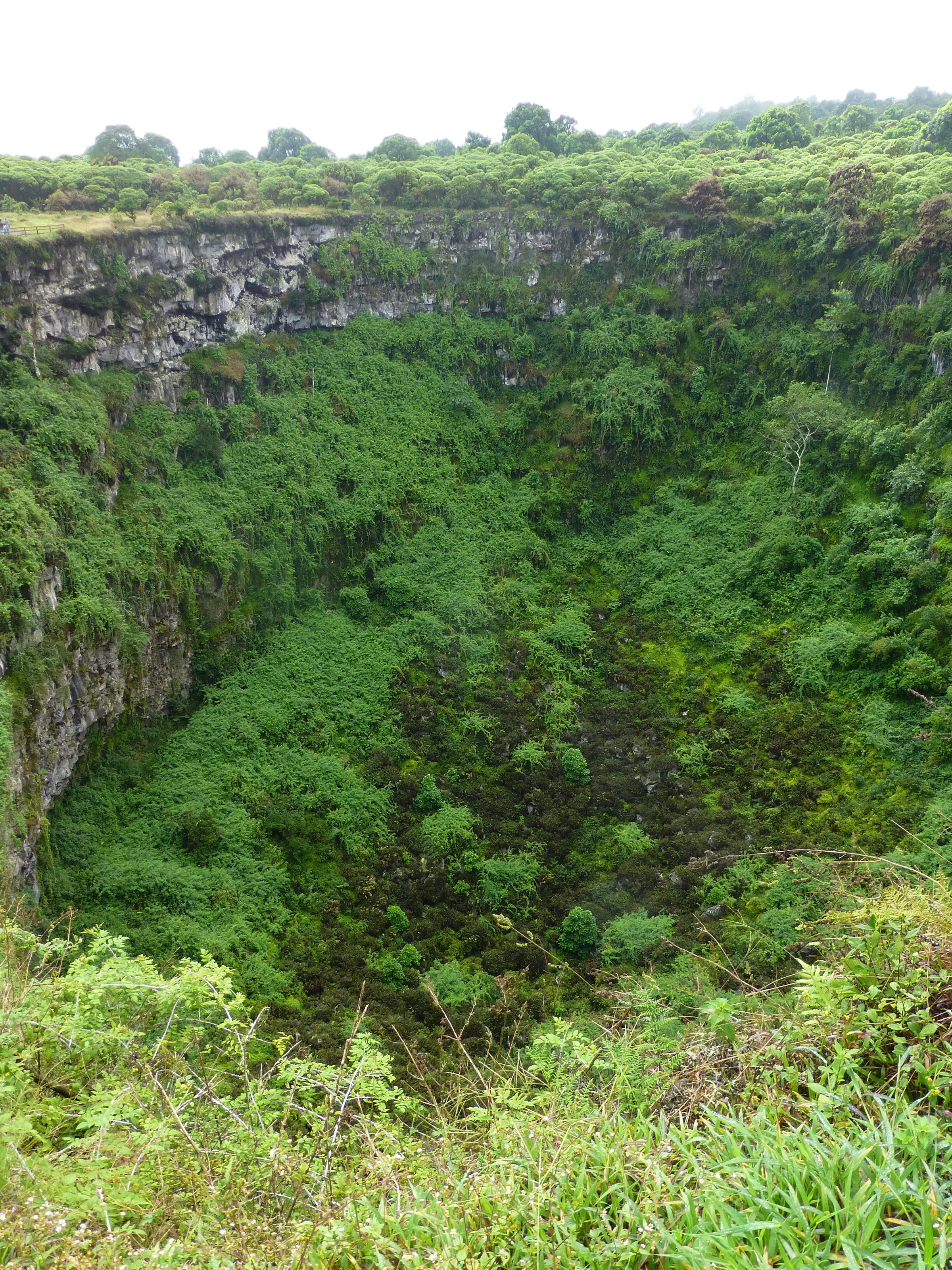 Collapsed volcanic crater on the east side of the road.