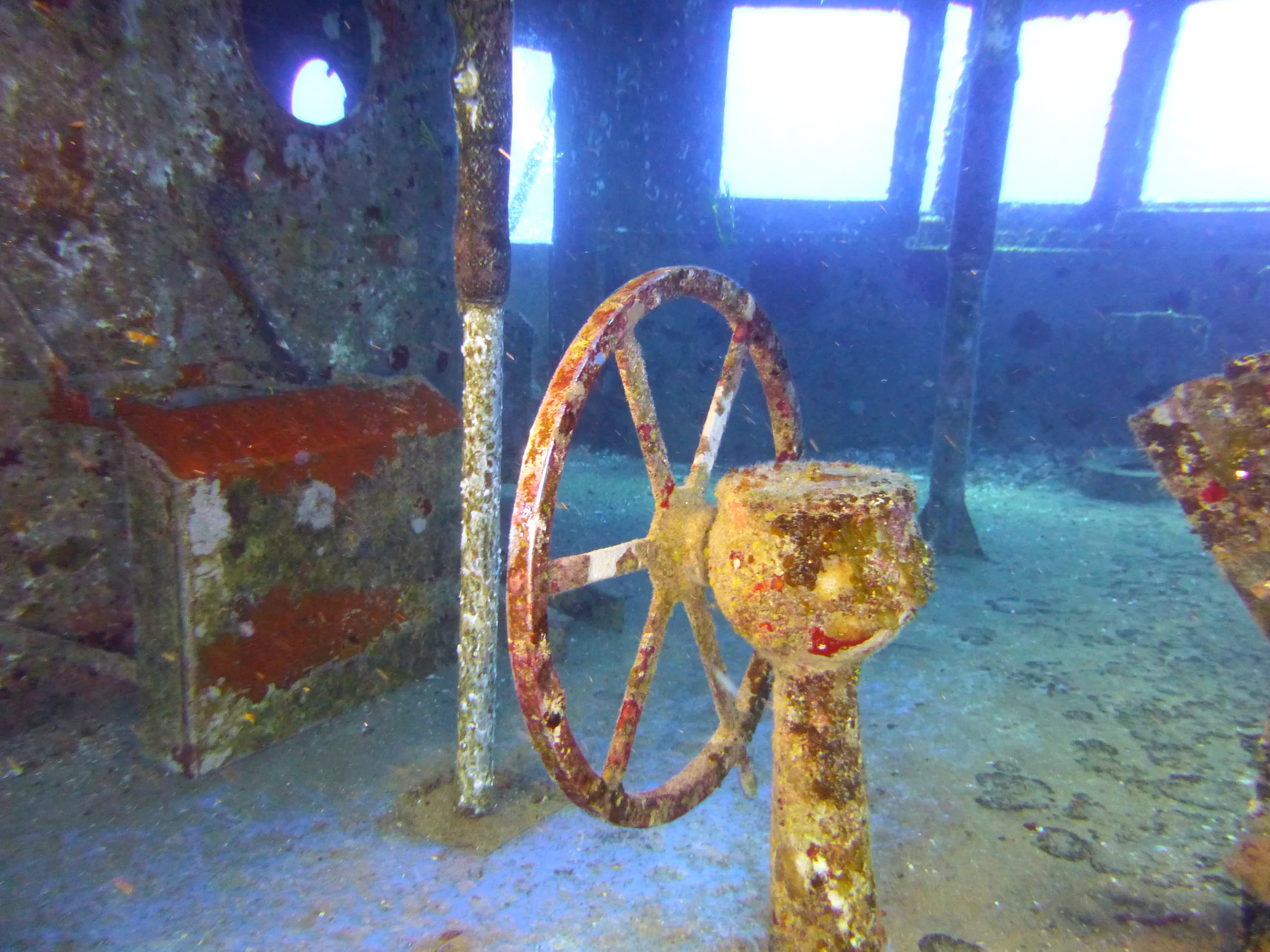 Cayman Islands underwater photograph, 2014
