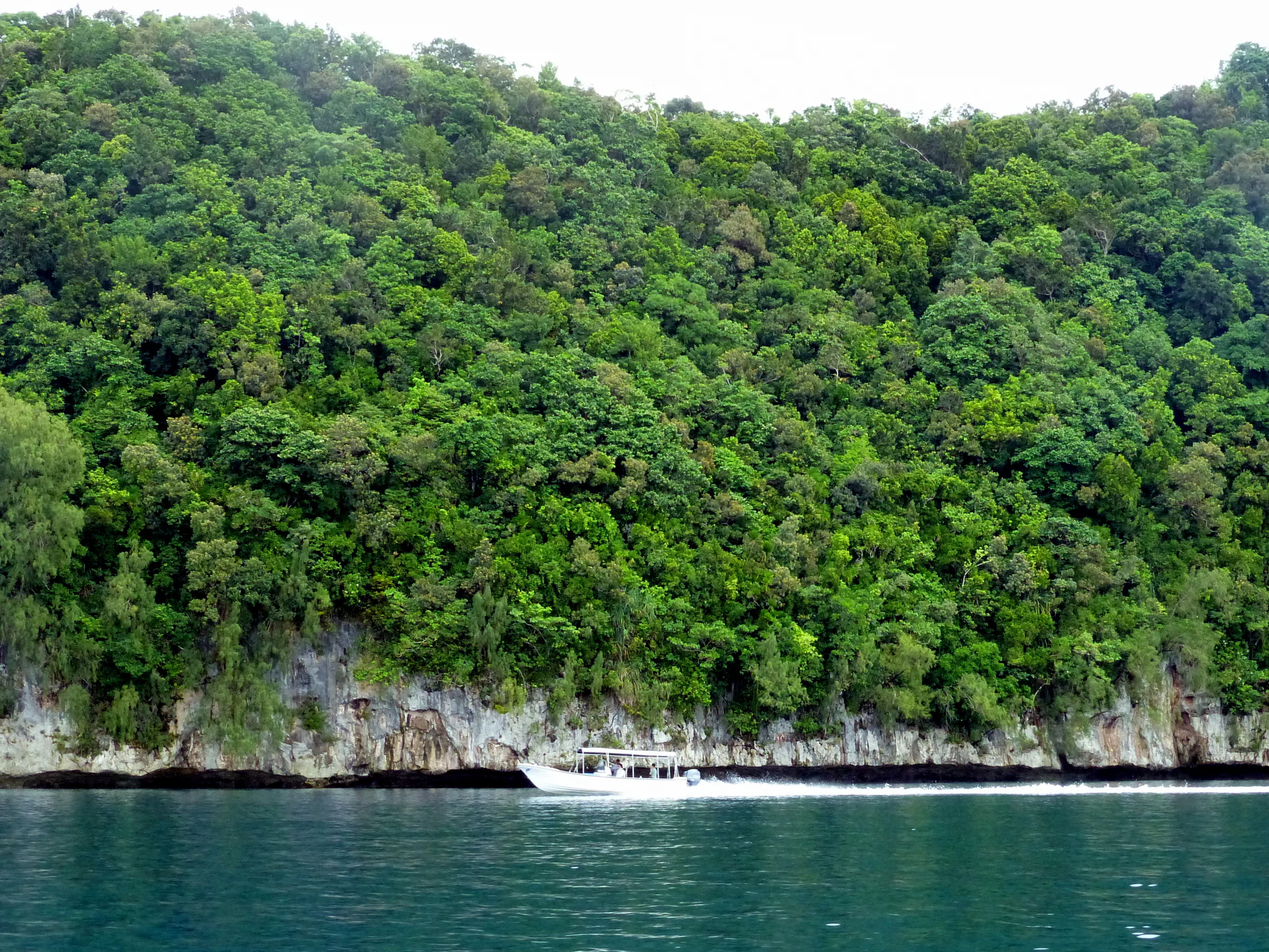 Palau underwater photograph, 2013