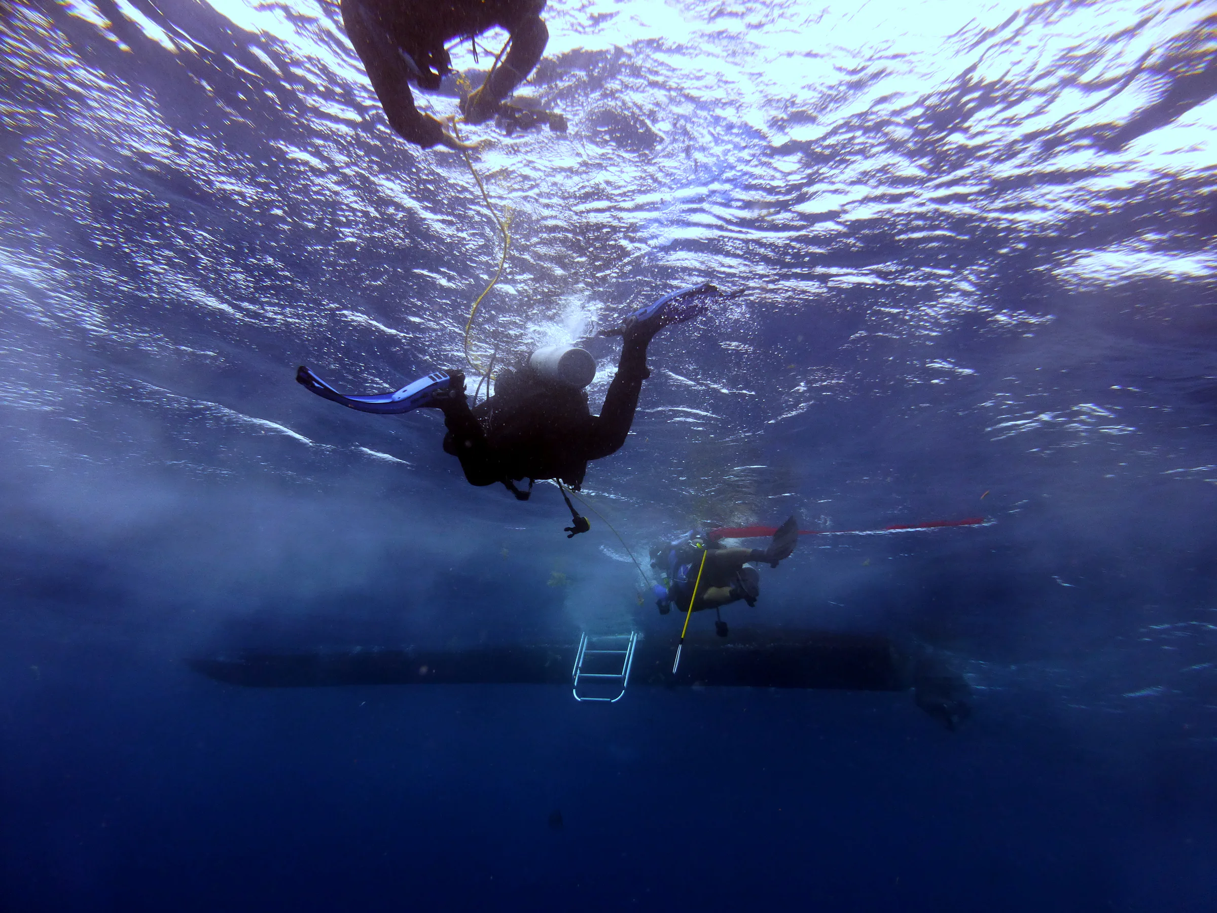 Belize underwater photograph, 2017