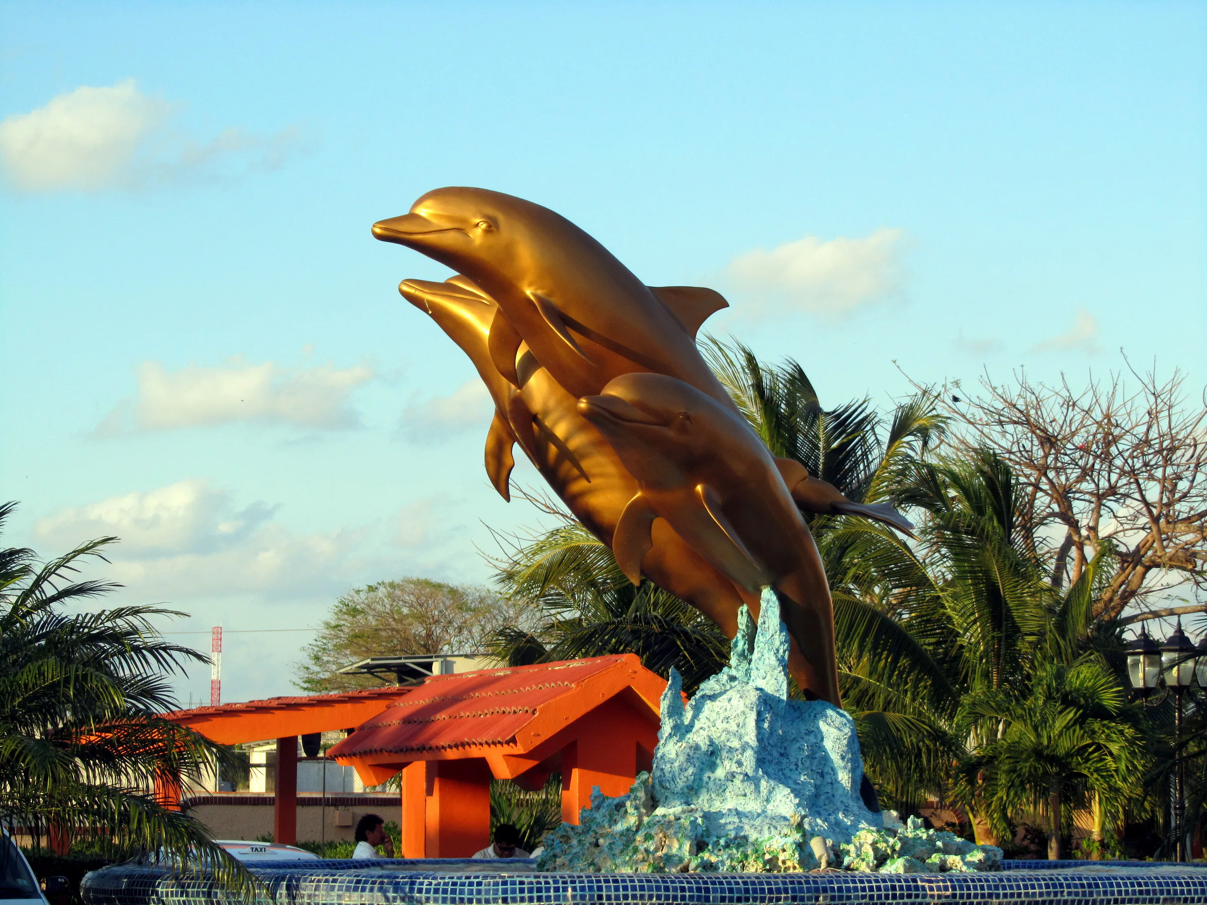 Cozumel underwater photograph, 2012