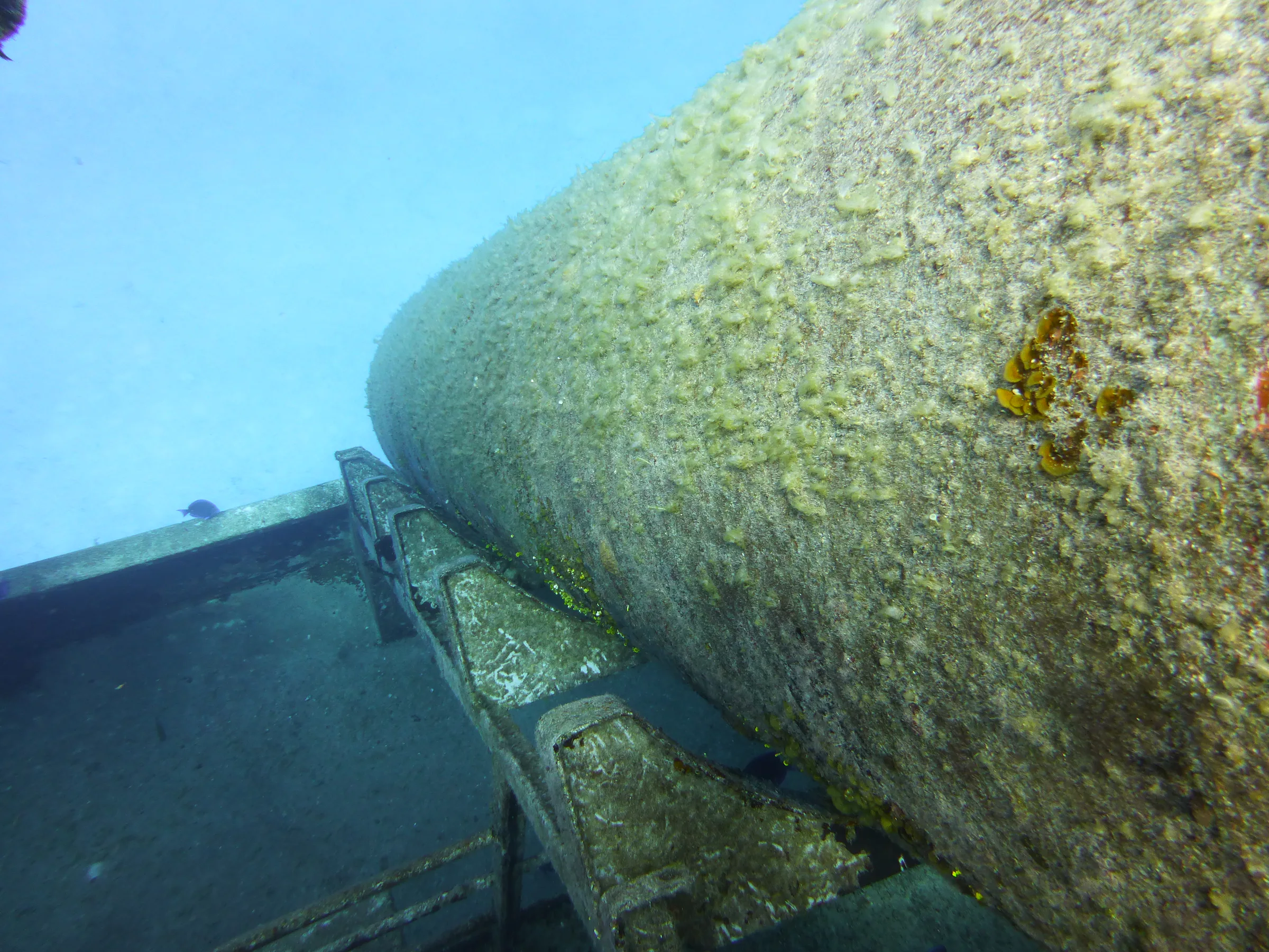 Cayman Islands underwater photograph, 2014