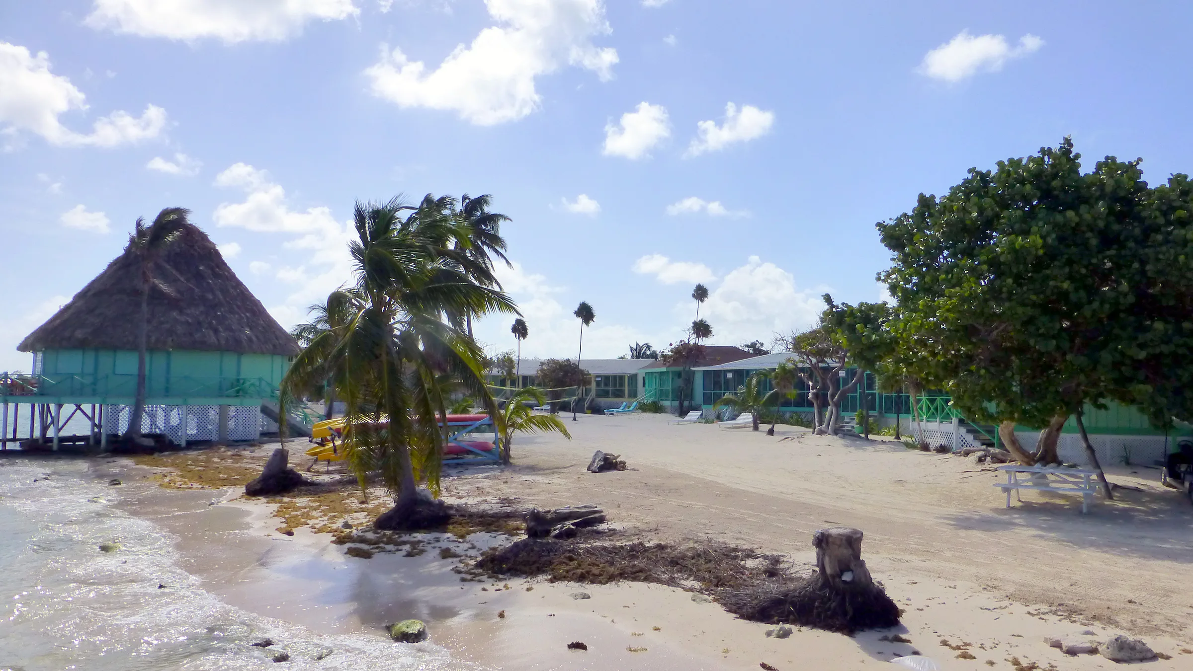 Belize underwater photograph, 2017