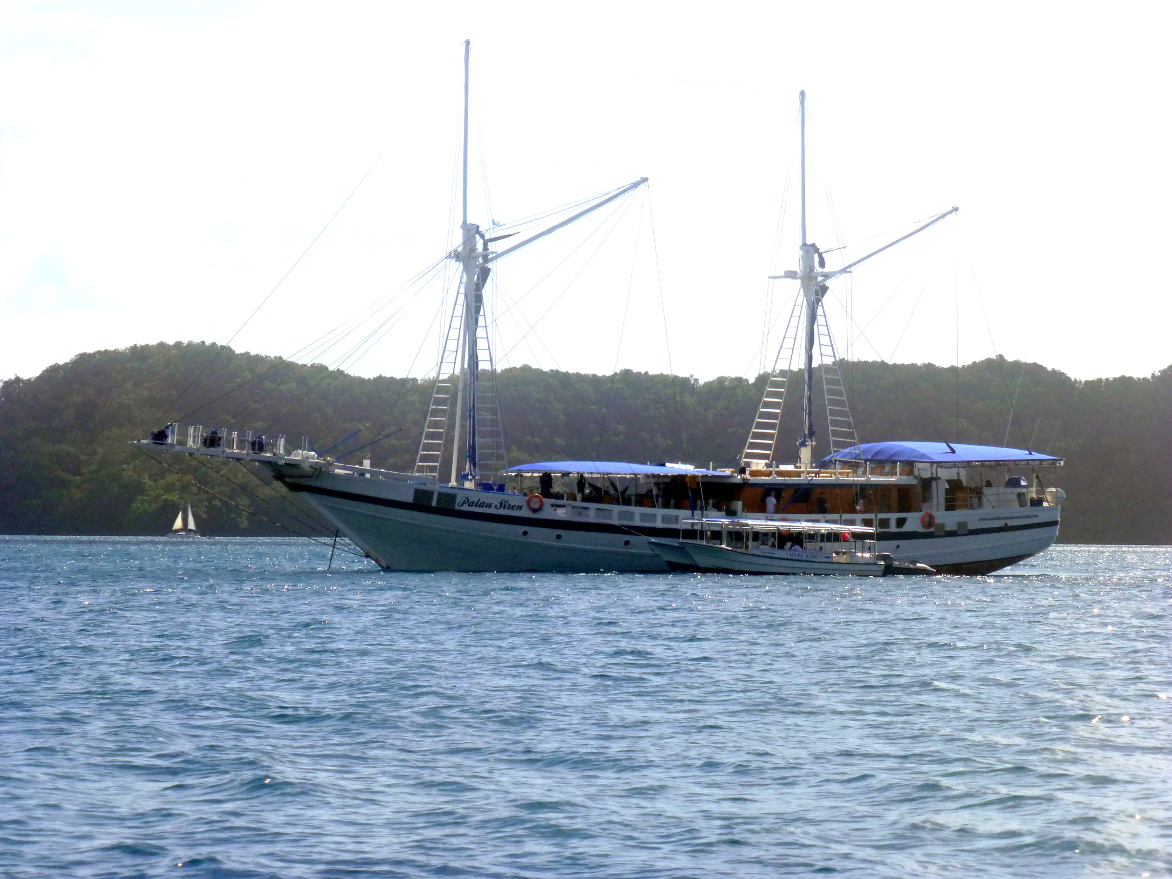 Palau underwater photograph, 2013