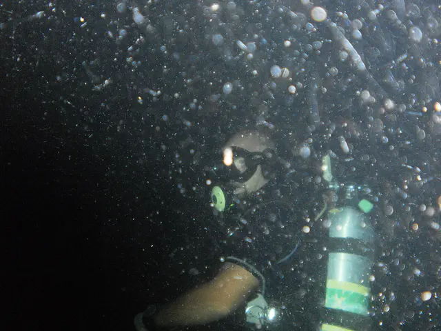 Kostas, our divemaster guide, for the night dive.  A rule is not to shine your light in another diver's face or you may temporarily blind them and, at the very least, cause problems with their vision while their eyes are readjusting.