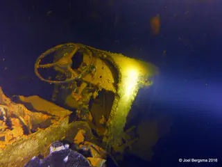Underwater photograph by Joel Bergsma