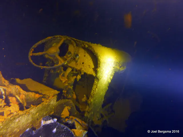Underwater photograph by Joel Bergsma