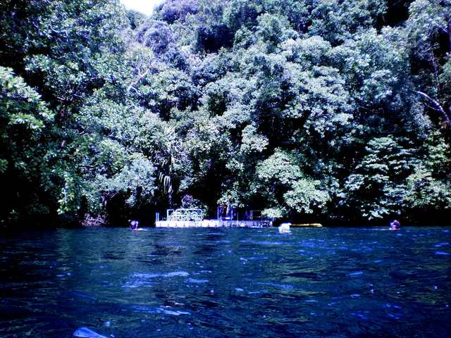 Floating dock entrance to Jellyfish Lake, Palau. Access requires a hike from the dive boat dock over the hill shown in the photo.