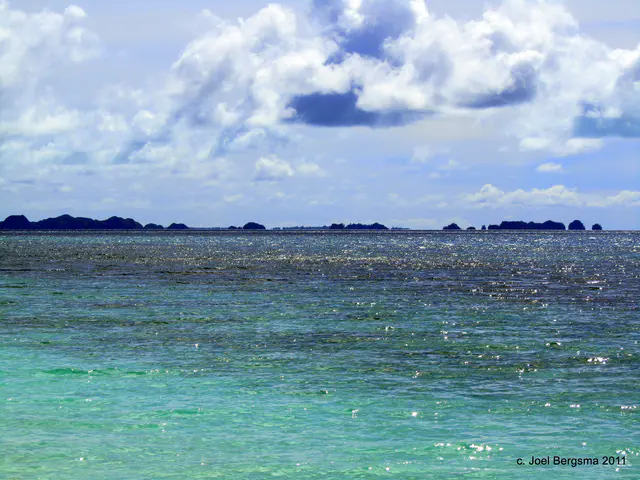 2011-01-14 Ulong Island for lunch (10).JPG