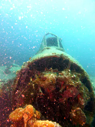 Underwater photograph by Joel Bergsma