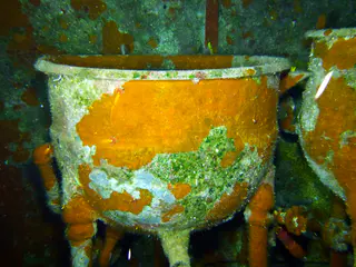 Underwater photograph by Joel Bergsma