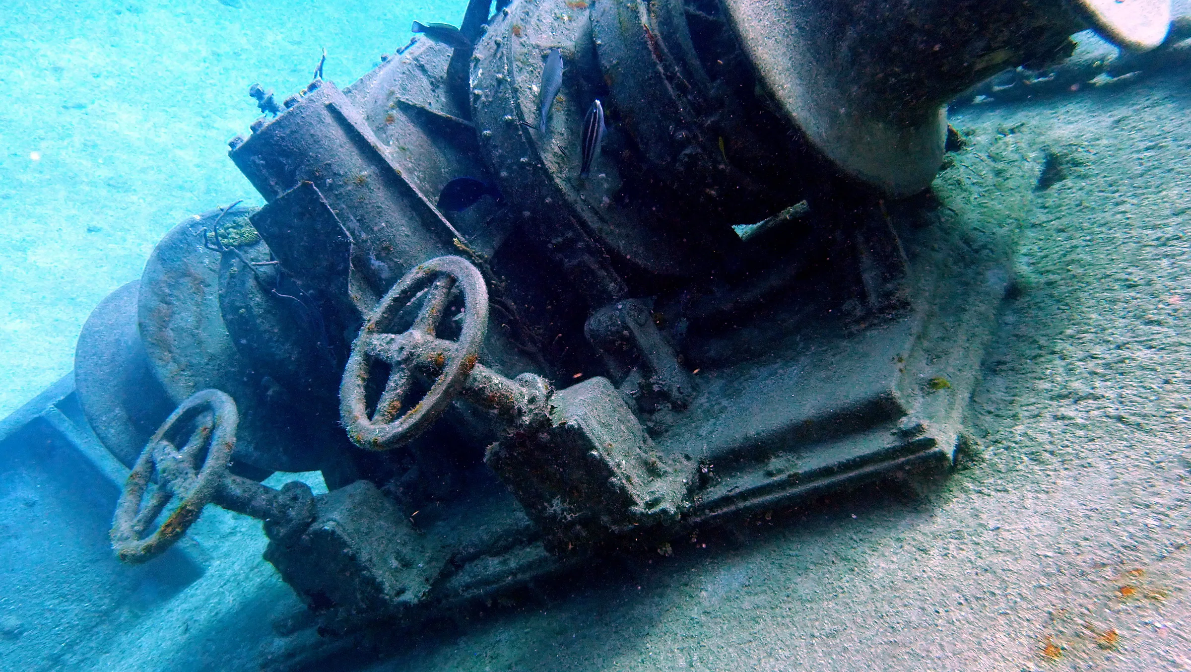 Cayman Islands underwater photograph, 2019