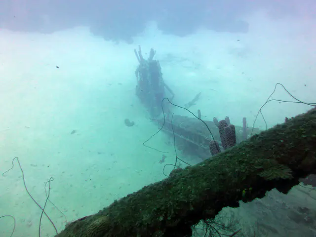 Underwater photograph by Joel Bergsma