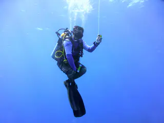 Underwater photograph by Joel Bergsma