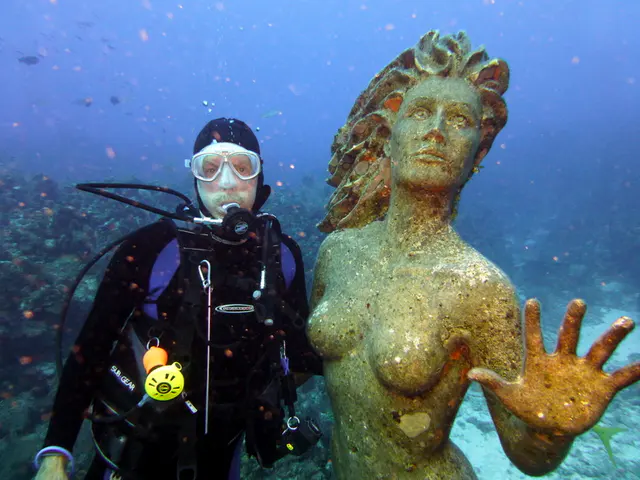 Underwater photograph by Joel Bergsma