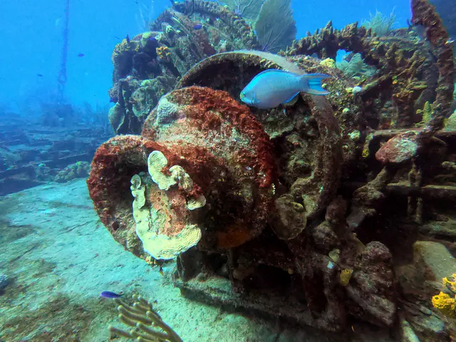 DCIM\100GOPRO\GOPR1120.JPG