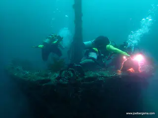 Underwater photograph by Joel Bergsma
