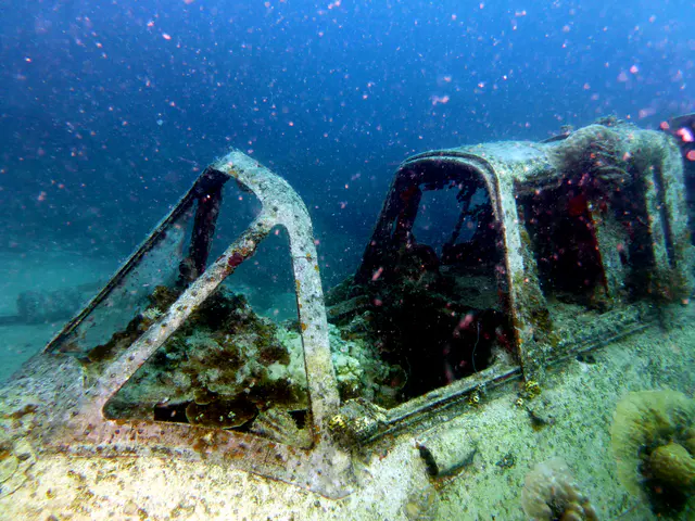 Underwater photograph by Joel Bergsma