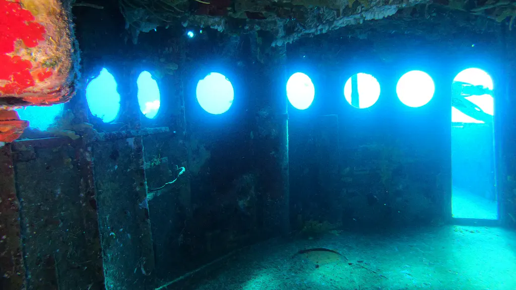 Underwater photograph by Joel Bergsma