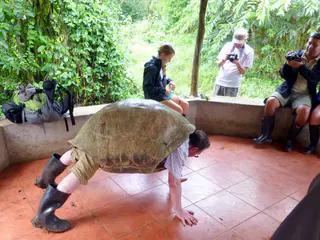 Human Tortoise on a private farm in Santa Cruz, adjoining the National Park.