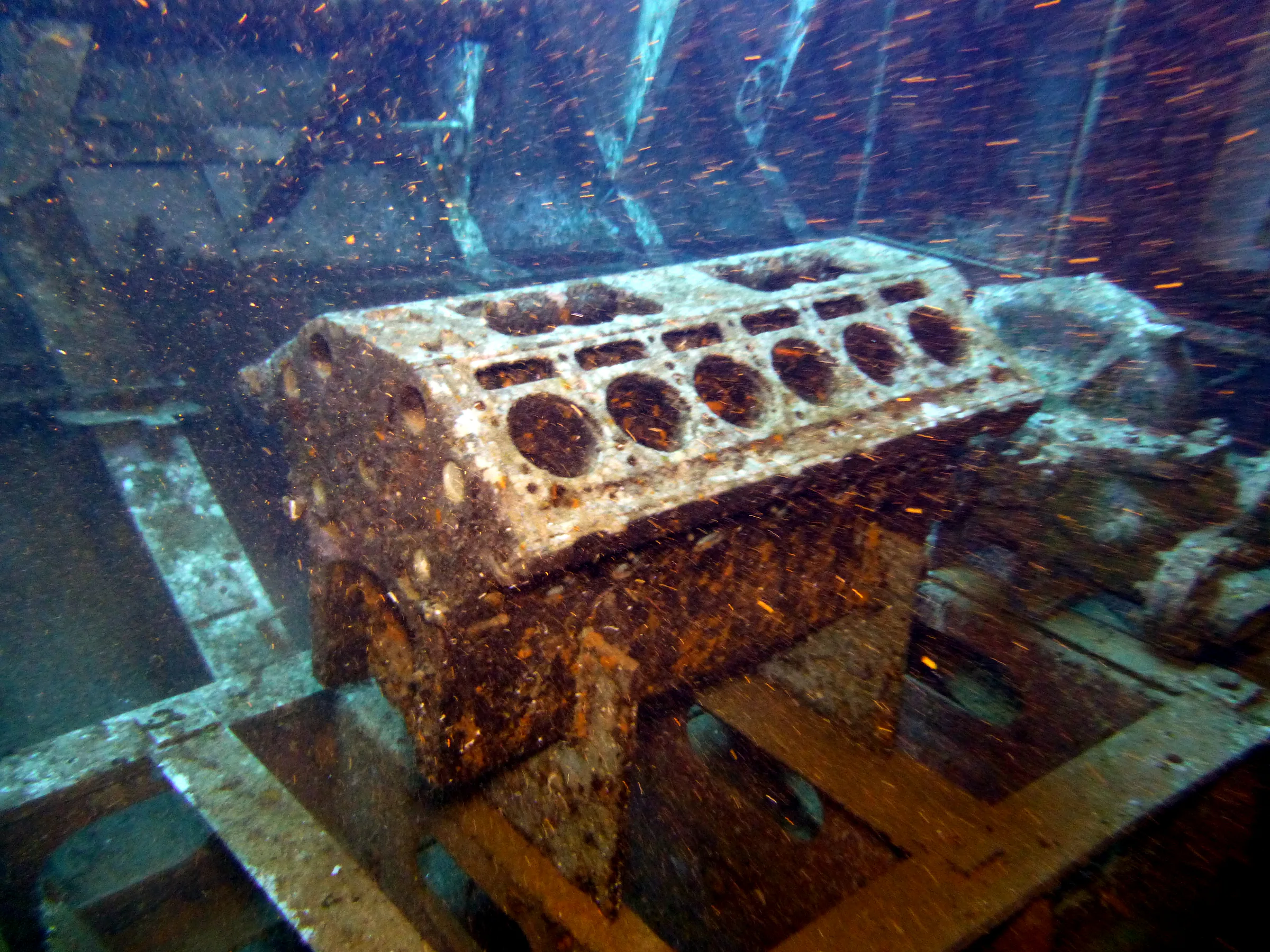 Cayman Islands underwater photograph, 2014