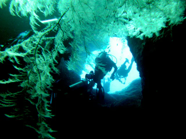 A white sea fan grows near an exit tunnel from the cavern.
