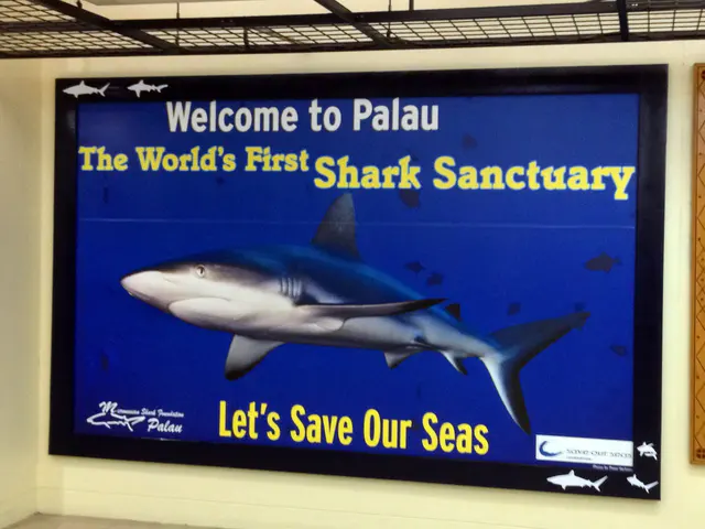 Immigration Billboard - Palau