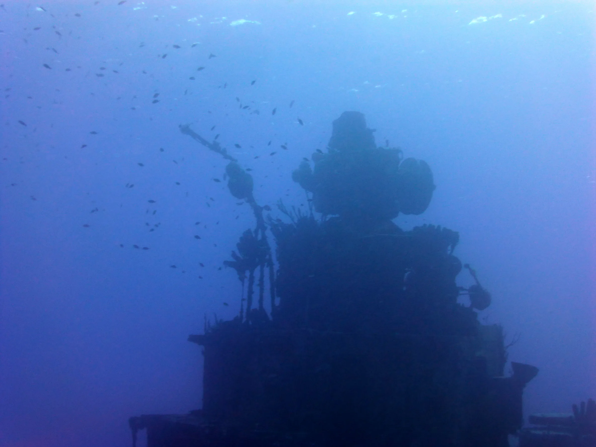 Cayman Islands underwater photograph, 2014