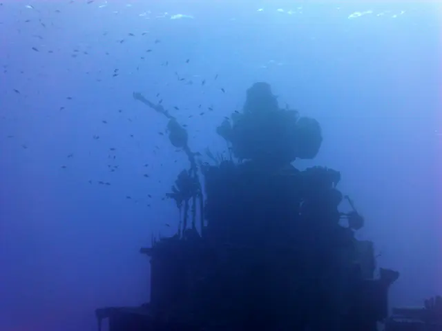 Underwater photograph by Joel Bergsma