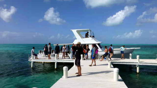 Half Moon Caye, Lighthouse Atoll, Belize. January 2017.