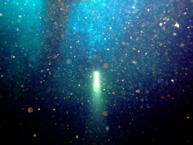 Penetrating the wreck's cargo holds.  The silt in the water causes back scatter from my flash.
