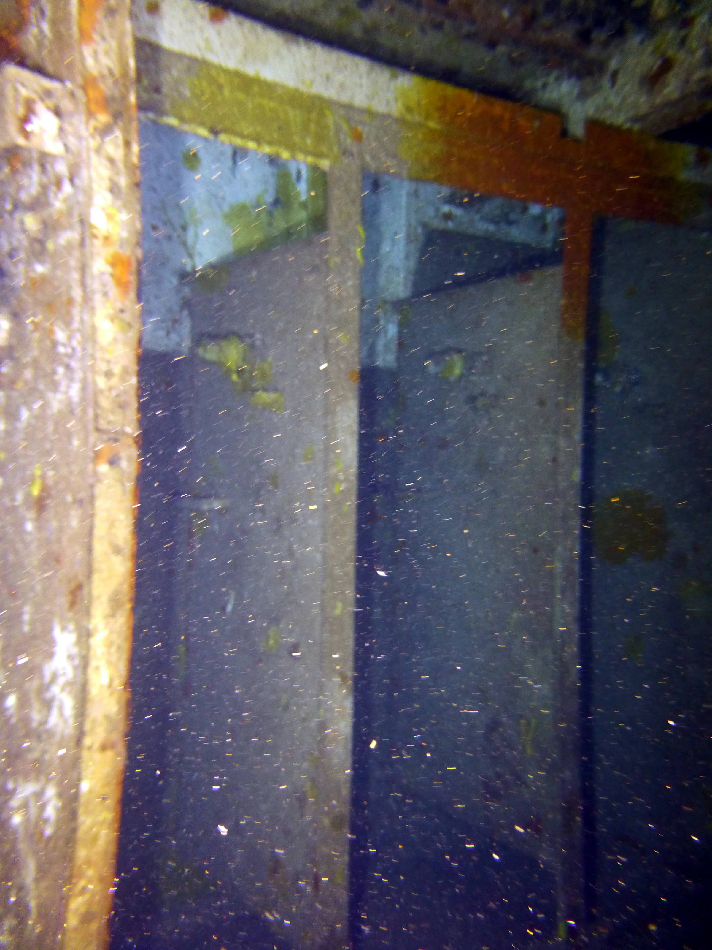 Cayman Islands underwater photograph, 2014