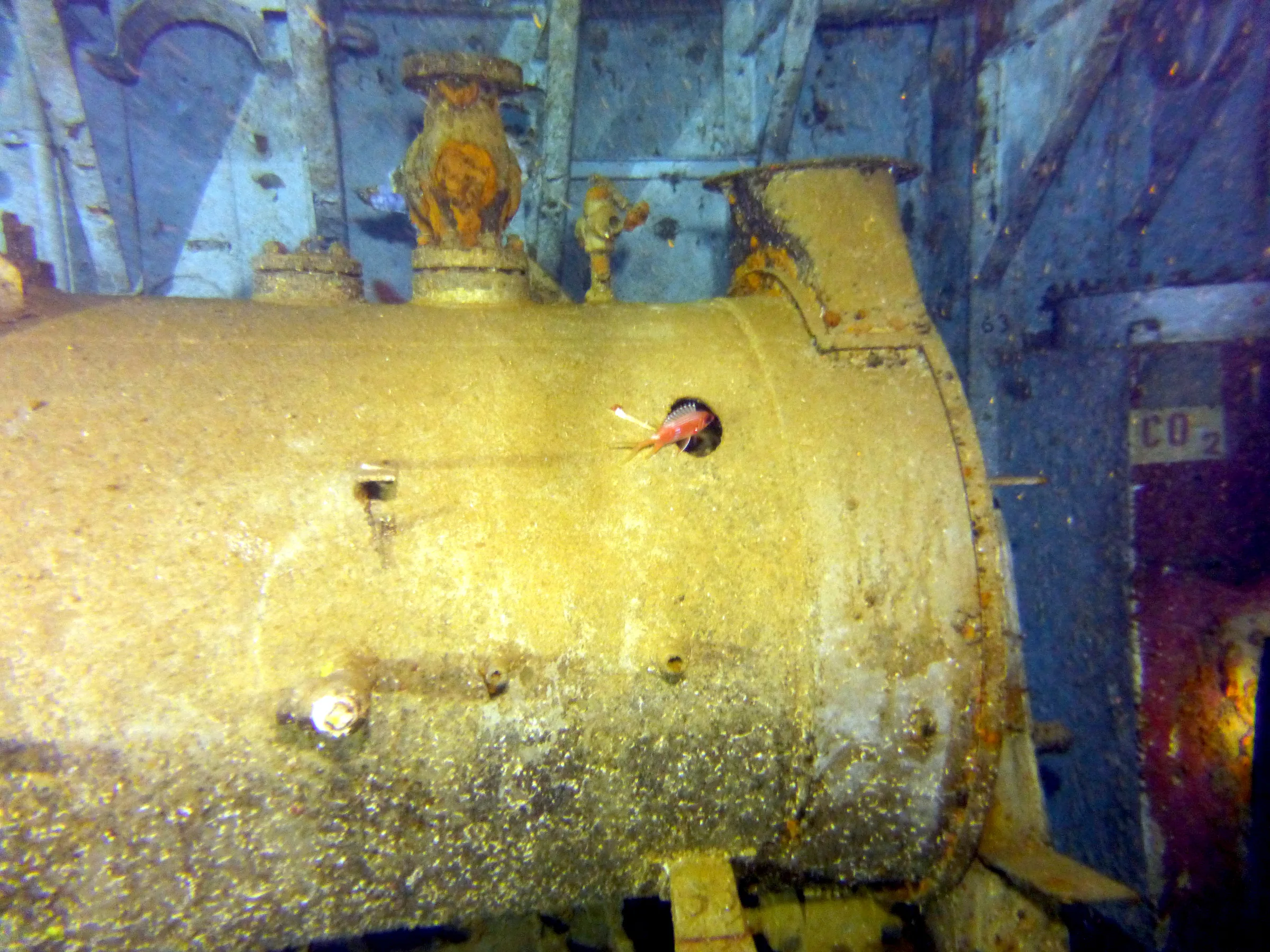 Cayman Islands underwater photograph, 2014