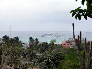In the distance is one of the largest cruise ships in the Galapagos Islands. It is at anchor in the Puerto Ayora harbor.