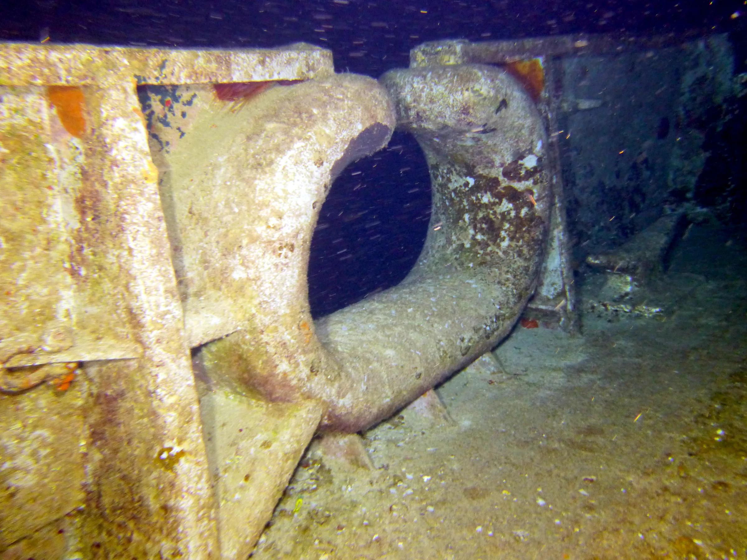 Cayman Islands underwater photograph, 2014