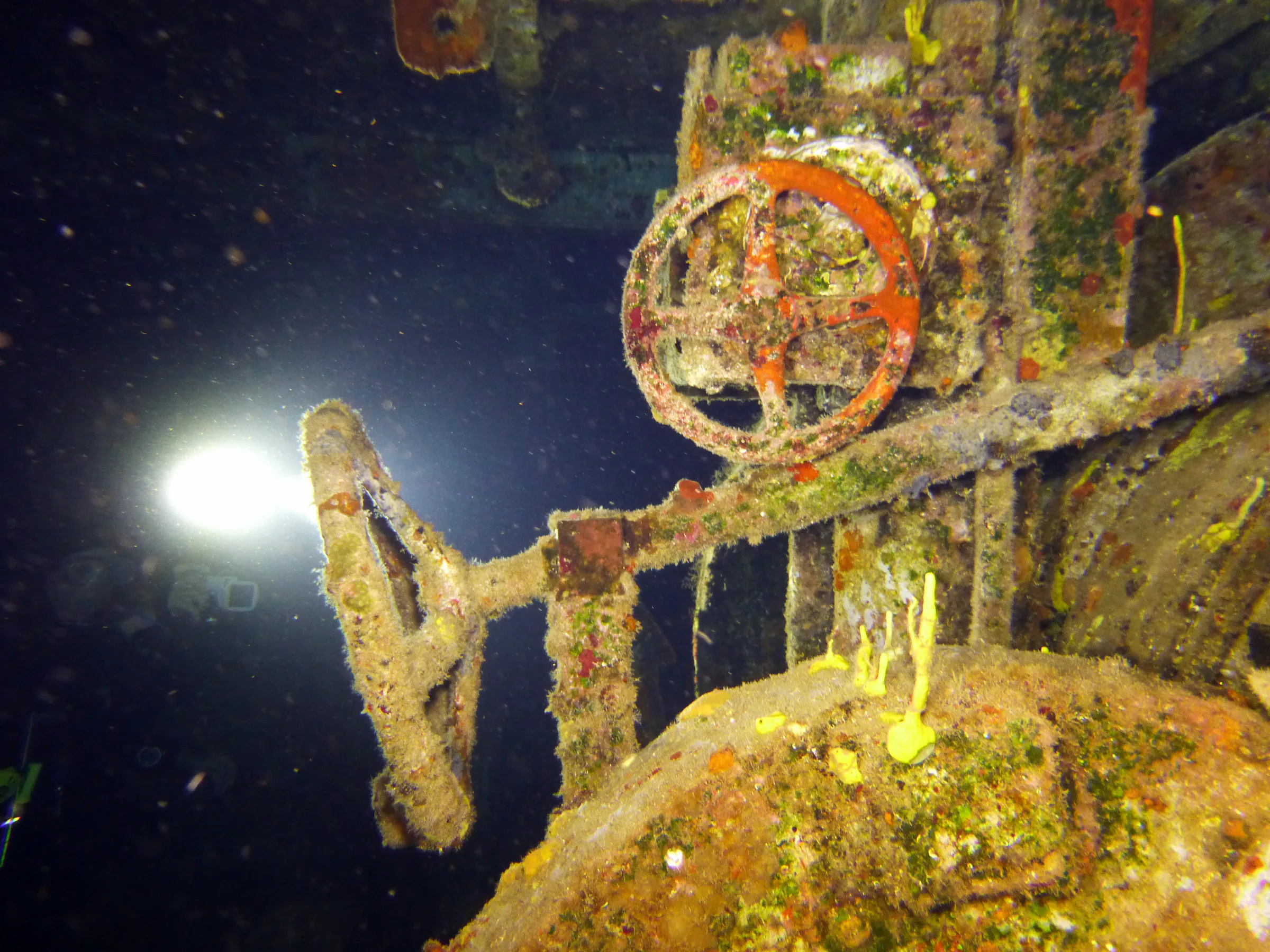 Cayman Islands underwater photograph, 2014