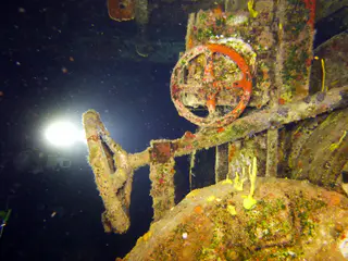 Underwater photograph by Joel Bergsma