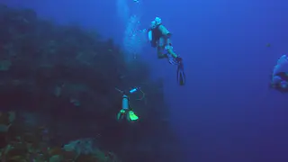 Divers