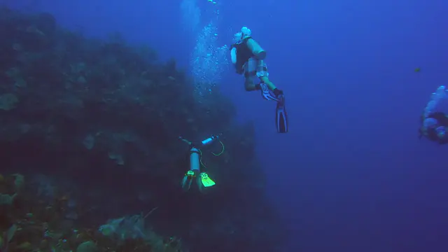 Divers