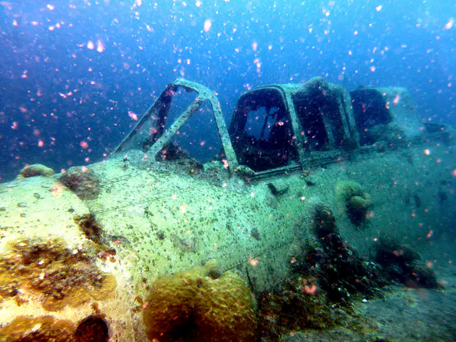 Underwater photograph by Joel Bergsma