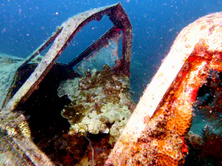 Underwater photograph by Joel Bergsma
