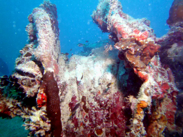 Winch with rope laden with coral on the main deck of the WWII Wreck Nagisan Maru.