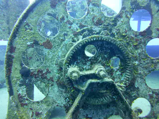 Underwater photograph by Joel Bergsma