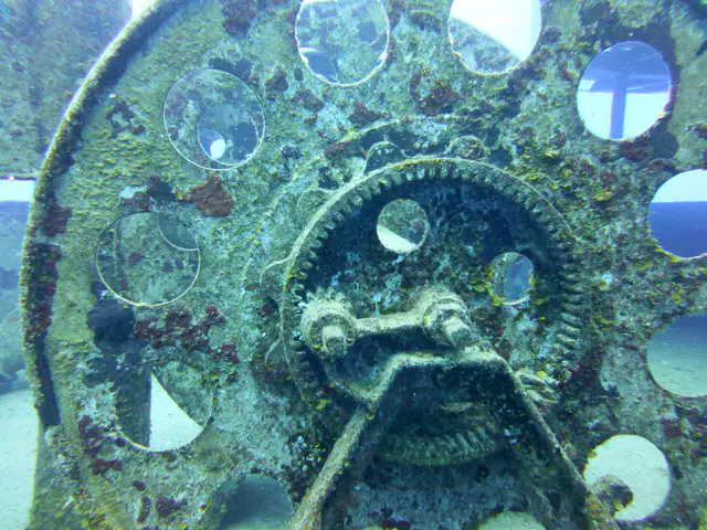 Underwater photograph by Joel Bergsma