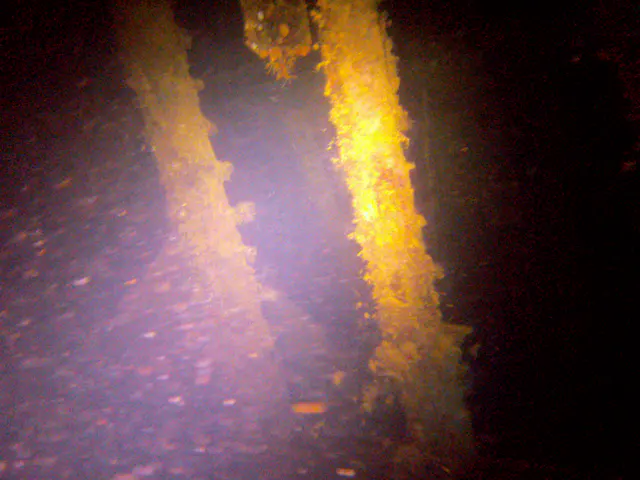 Support beams, temporarily lit by my flash.