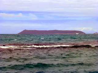 The Island of Fernandina. "The youngest and the most active volcanoes in Galapagos are found in the island of Ferdinand", and it is unhabited (by humans). http://www.galapagosnow.com/dive-sites/ferdinand-island